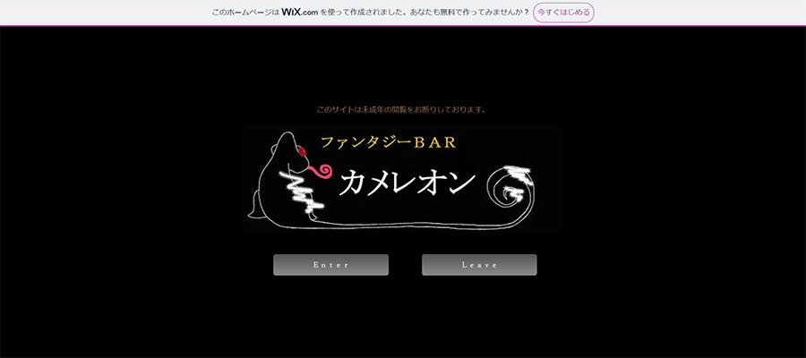 ファンタジーBAR カメレオン